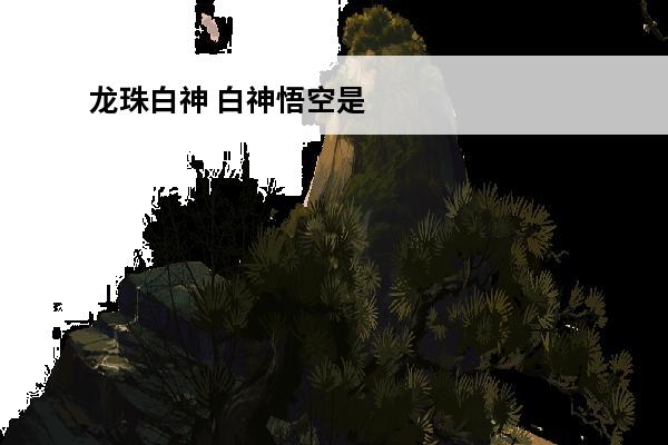 龙珠白神 白神悟空是龙珠哪一部
