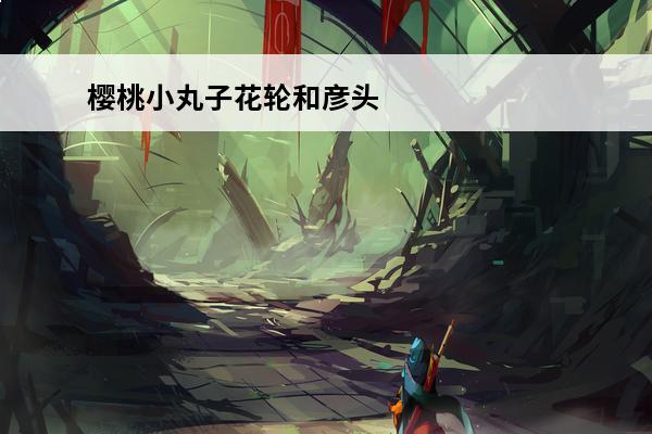 樱桃小丸子花轮和彦头像 樱桃小丸子和花轮