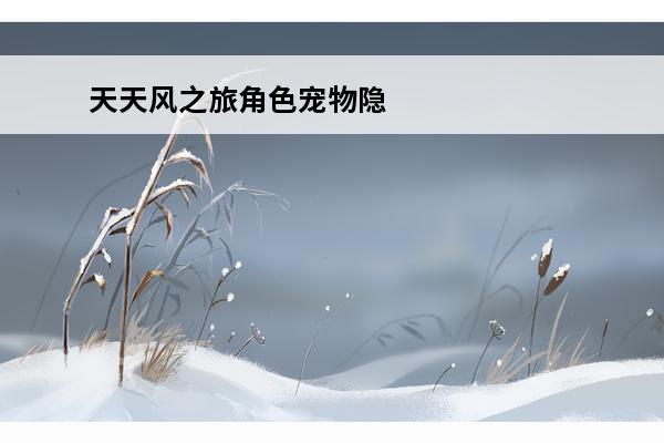 天天风之旅角色宠物隐