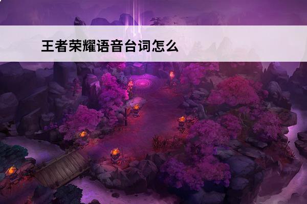 王者荣耀语音台词怎么
