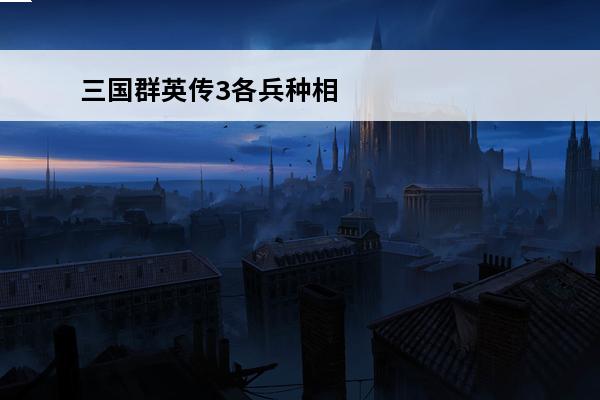 三国群英传3各兵种相