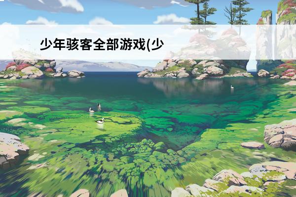 少年骇客全部游戏(少