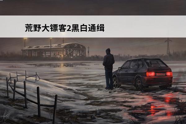 荒野大镖客2黑白通缉