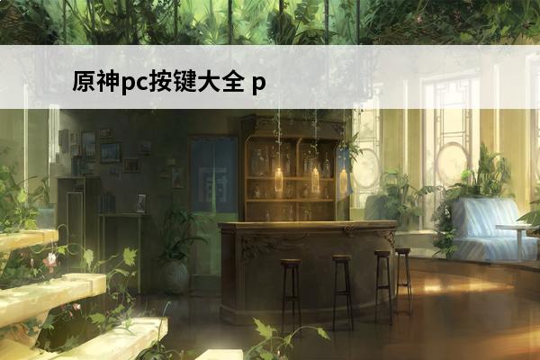 原神pc按键大全 p