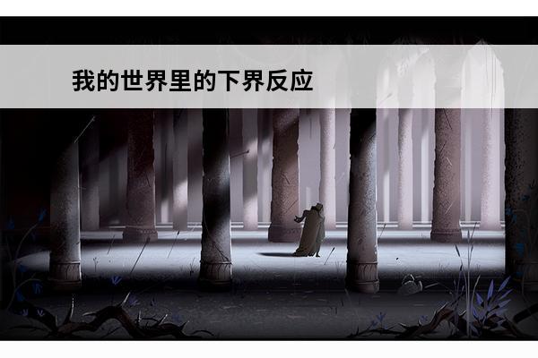我的世界里的下界反应