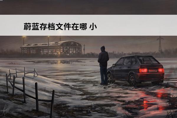 蔚蓝存档文件在哪 小