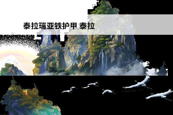 泰拉瑞亚铁护甲 泰拉