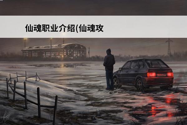 仙魂职业介绍(仙魂攻