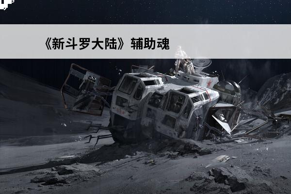 《新斗罗大陆》辅助魂