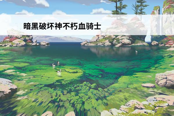 暗黑破坏神不朽血骑士
