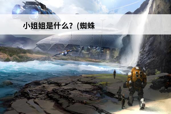 小姐姐是什么？(蜘蛛女小姐姐)