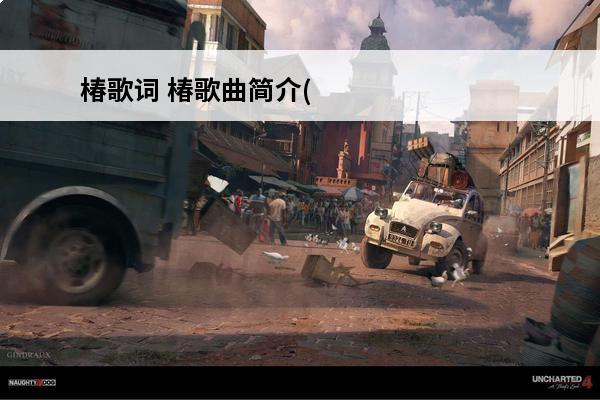 椿歌词 椿歌曲简介(椿歌曲表达什么意思)