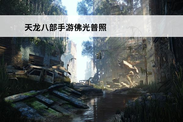 天龙八部手游佛光普照指点英雄 佛光普照英雄推荐(圣光普照什么意思)