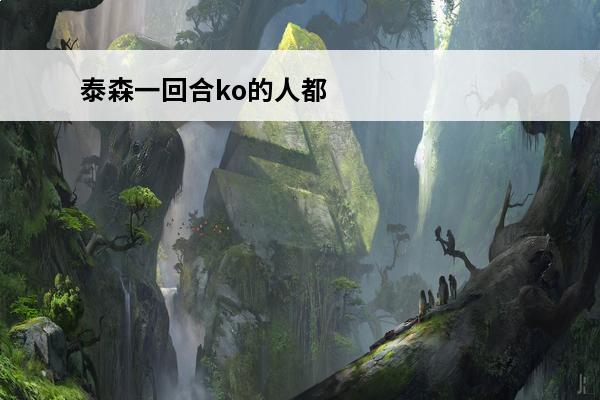 泰森一回合ko的人都