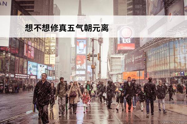 想不想修真五气朝元离线有用吗 想不想修真五气朝元怎么获取想不想修真五气朝元获取攻略