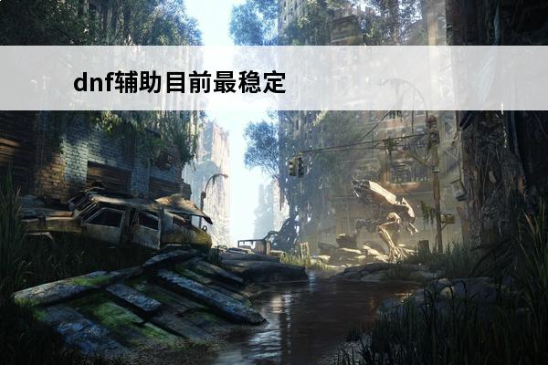 dnf辅助目前最稳定的是什么？(地下城最稳定的辅助)