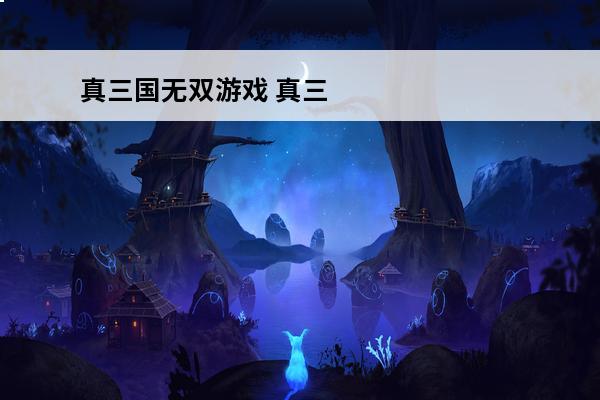 真三国无双游戏 真三