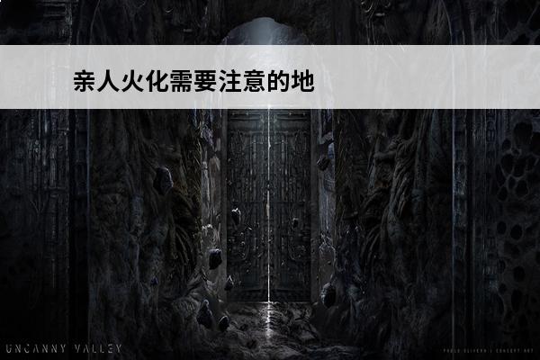 亲人火化需要注意的地方(暗影格斗3卡级需要注意的地方)