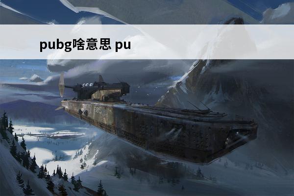 pubg啥意思 pubg啥意思