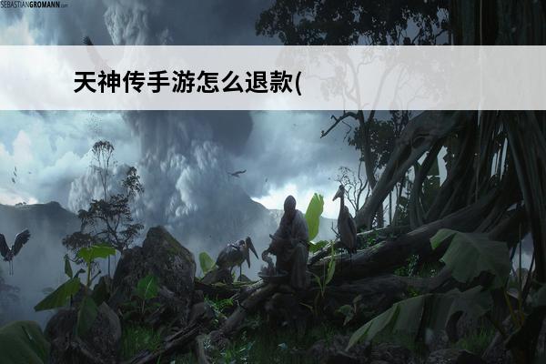 天神传手游怎么退款(天神传手游)