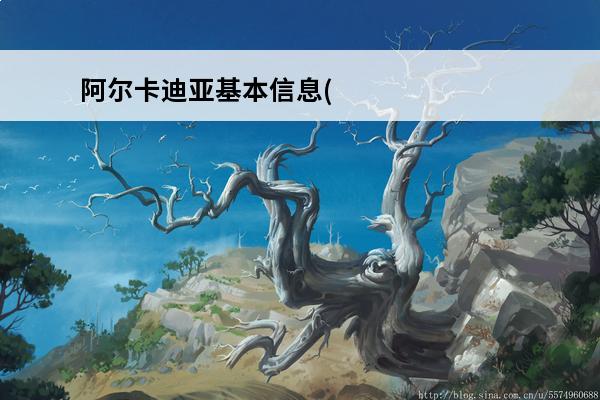 阿尔卡迪亚基本信息(阿尔卡迪亚大厂)